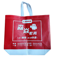 厦门LB37培训班广告袋